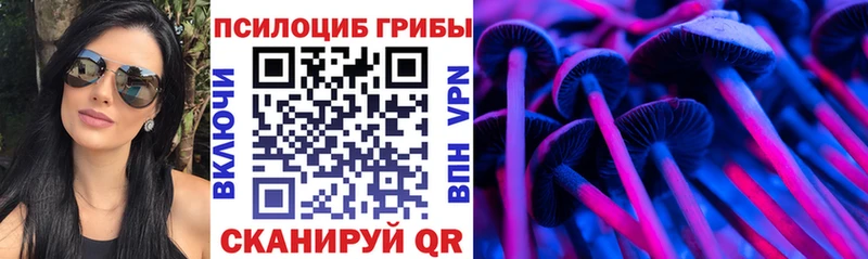 Купить где  Льгов  Галлюциногенные грибы Cubensis 